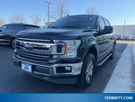 2020 F-150 Thumbnail 3