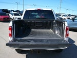 2019 F-150 Thumbnail 7