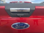2019 F-150 Thumbnail 6
