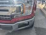 2019 F-150 Thumbnail 14