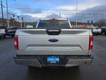 2019 F-150 Thumbnail 4
