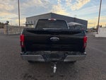 2020 F-150 Thumbnail 13