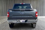 2020 F-150 Thumbnail 4