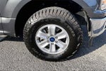 2020 F-150 Thumbnail 8