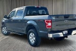 2020 F-150 Thumbnail 12