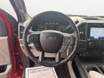 2020 F-150 Thumbnail 12