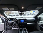 2020 F-150 Thumbnail 12