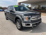 2018 F-150 Thumbnail 3
