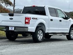 2018 F-150 Thumbnail 5