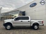 2019 F-150 Thumbnail 5