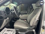 2019 F-150 Thumbnail 22