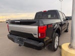 2019 F-150 Thumbnail 3