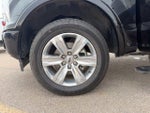 2019 F-150 Thumbnail 20