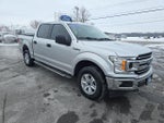 2019 F-150 Thumbnail 4