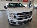 2020 F-150 Thumbnail 4