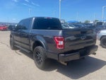 2020 F-150 Thumbnail 4