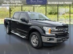 2020 F-150 Thumbnail 7