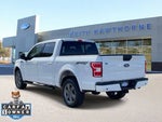 2020 F-150 Thumbnail 4