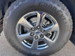 2020 F-150 Thumbnail 10