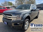 2020 F-150 Thumbnail 4
