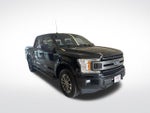 2018 F-150 Thumbnail 4