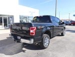 2018 F-150 Thumbnail 13