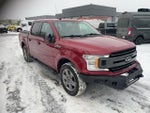 2019 F-150 Thumbnail 3