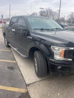 2019 F-150 Thumbnail 3