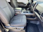 2020 F-150 Thumbnail 20