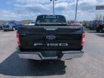 2020 F-150 Thumbnail 8