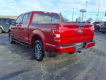 2020 F-150 Thumbnail 6