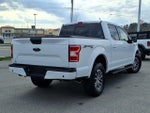 2019 F-150 Thumbnail 5
