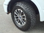 2019 F-150 Thumbnail 8