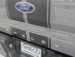 2019 F-150 Thumbnail 17