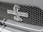 2019 F-150 Thumbnail 25