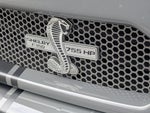 2019 F-150 Thumbnail 25