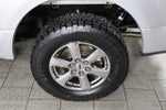 2019 F-150 Thumbnail 14