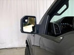 2019 F-150 Thumbnail 10