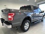 2020 F-150 Thumbnail 8