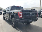 2023 F-150 Thumbnail 7