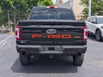 2023 F-150 Thumbnail 8