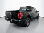 2023 F-150 Thumbnail 13