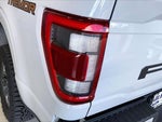 2023 F-150 Thumbnail 13