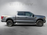 2023 F-150 Thumbnail 10