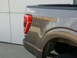 2021 F-150 Thumbnail 12