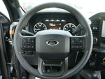 2021 F-150 Thumbnail 22