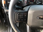 2021 F-150 Thumbnail 13