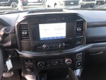 2021 F-150 Thumbnail 15