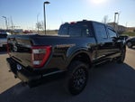 2021 F-150 Thumbnail 5