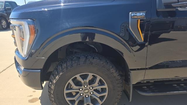 2022 Ford F-150 Tremor